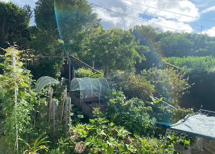 Green House - Al