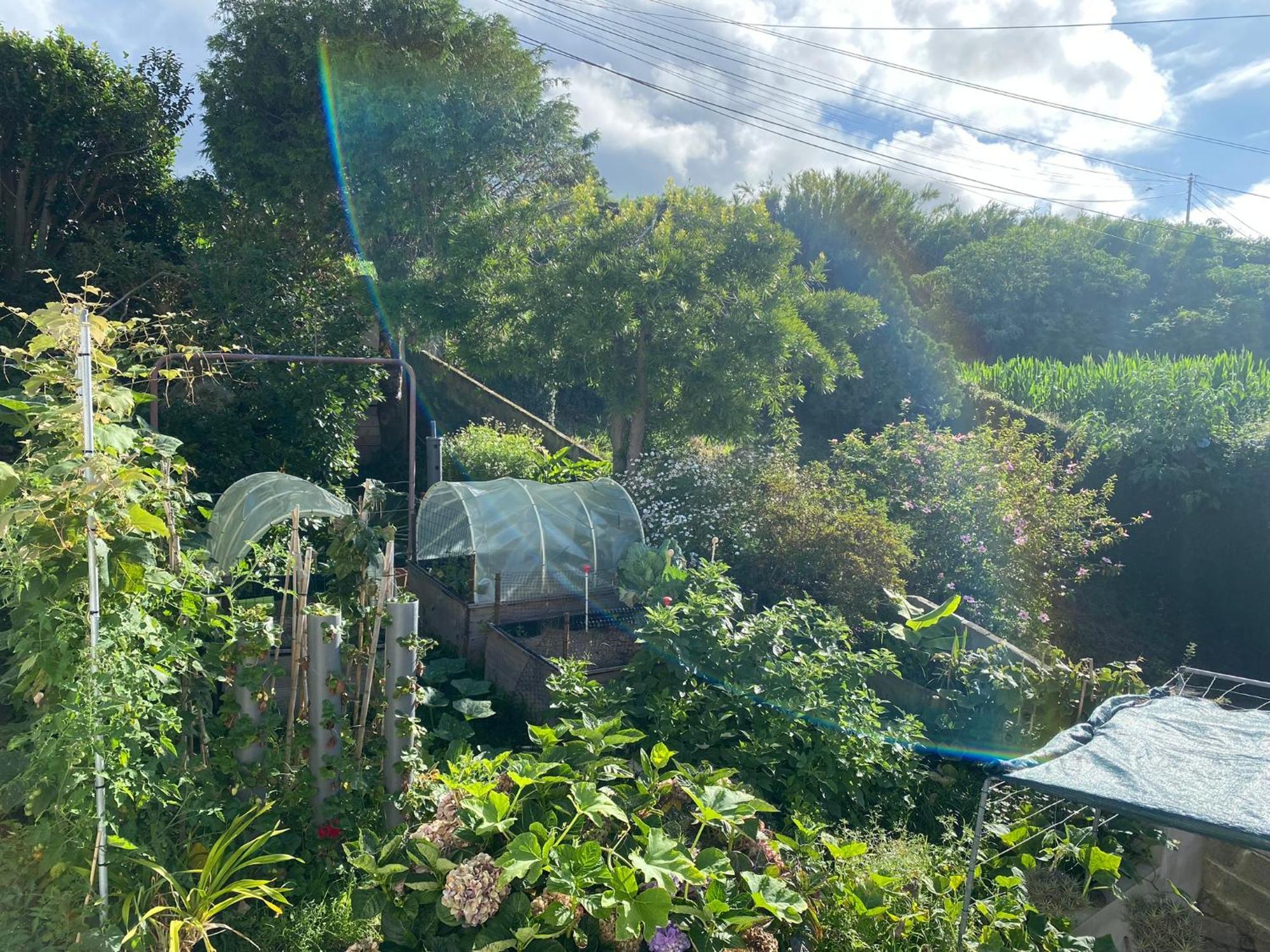 Homestay House - Al *